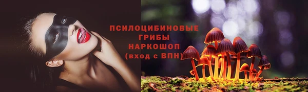 mdpv Покровск