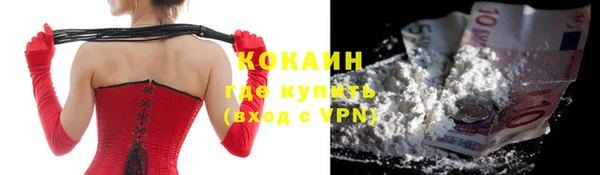 стаф Балахна