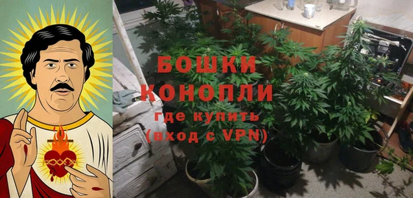 винт Арсеньев