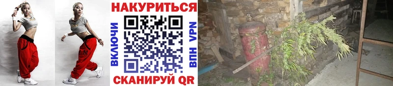 Каннабис конопля  как найти   Тулун 